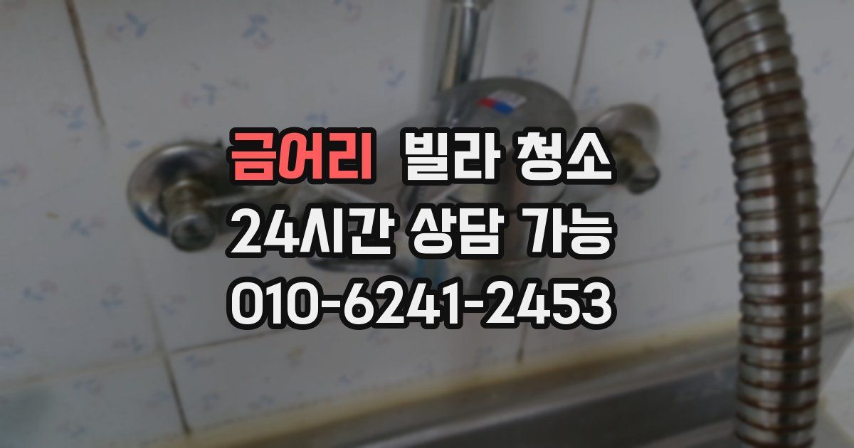 금어리 빌라 청소