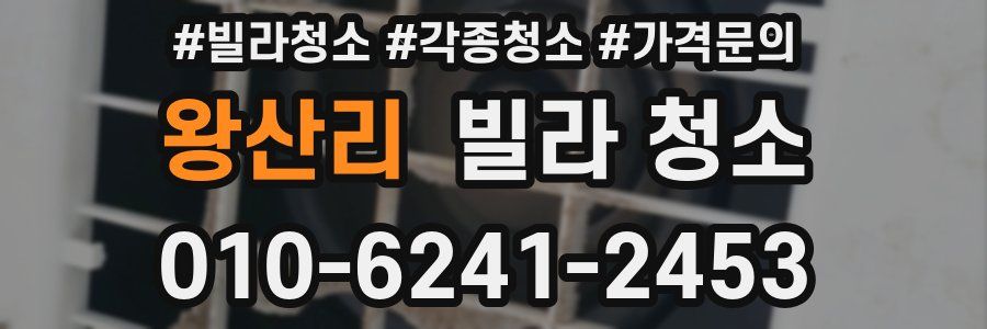 왕산리 빌라 청소