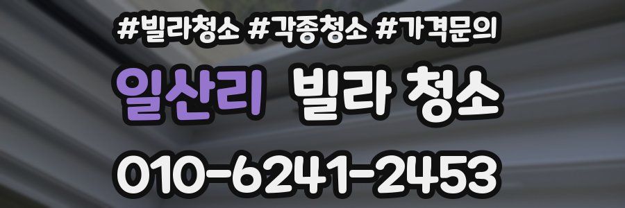 일산리 빌라 청소