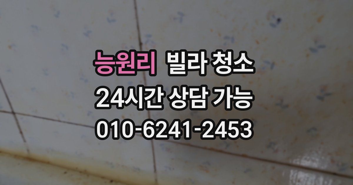 능원리 빌라 청소