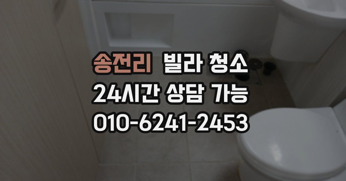 송전리 빌라 청소