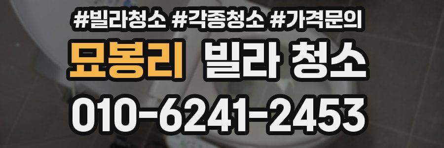 묘봉리 빌라 청소