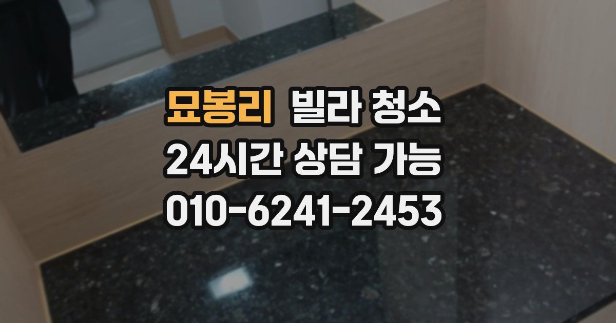 묘봉리 빌라 청소