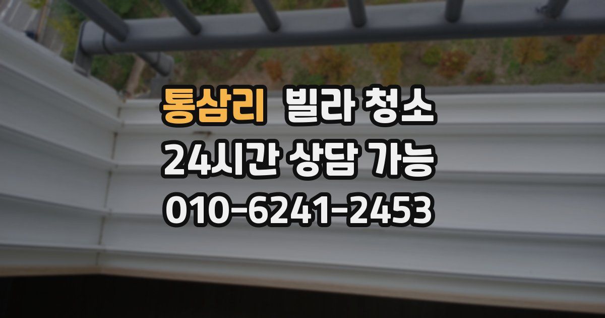 통삼리 빌라 청소