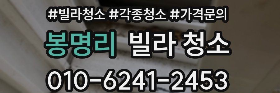 봉명리 빌라 청소