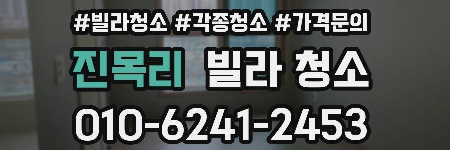 진목리 빌라 청소