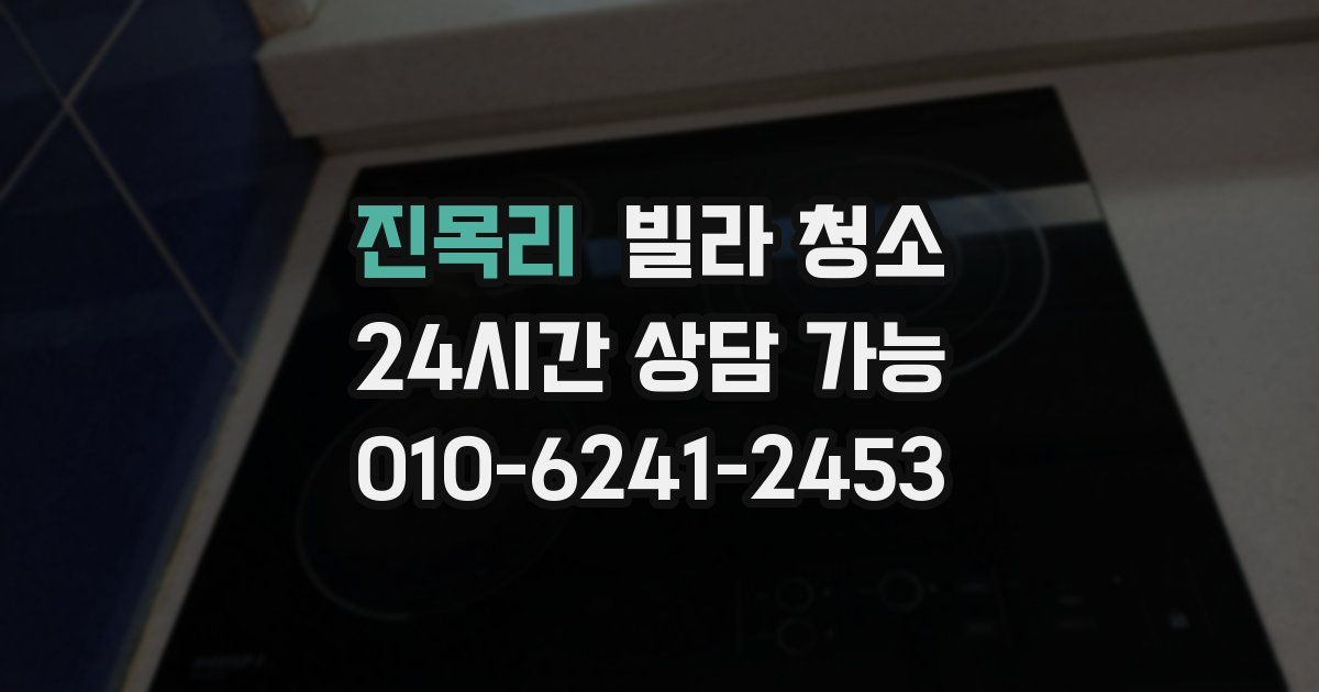 진목리 빌라 청소