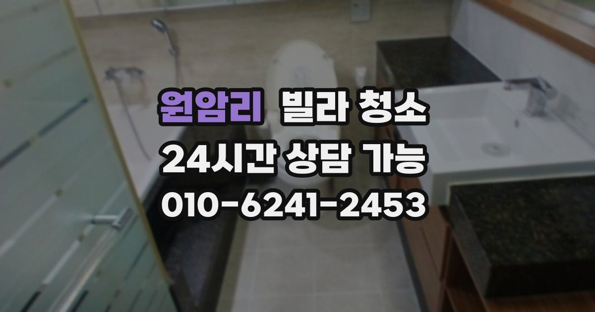 원암리 빌라 청소