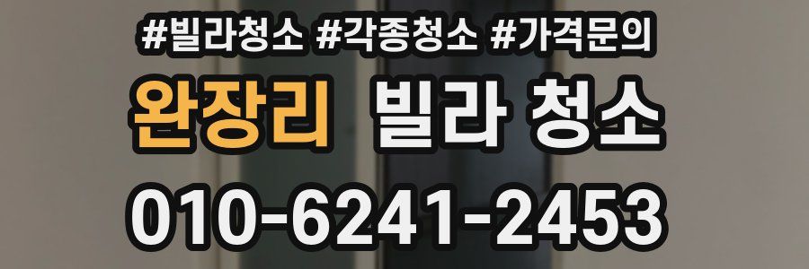 완장리 빌라 청소