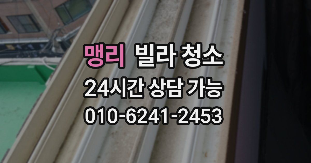 맹리 빌라 청소