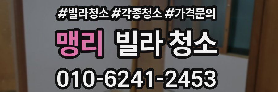 맹리 빌라 청소