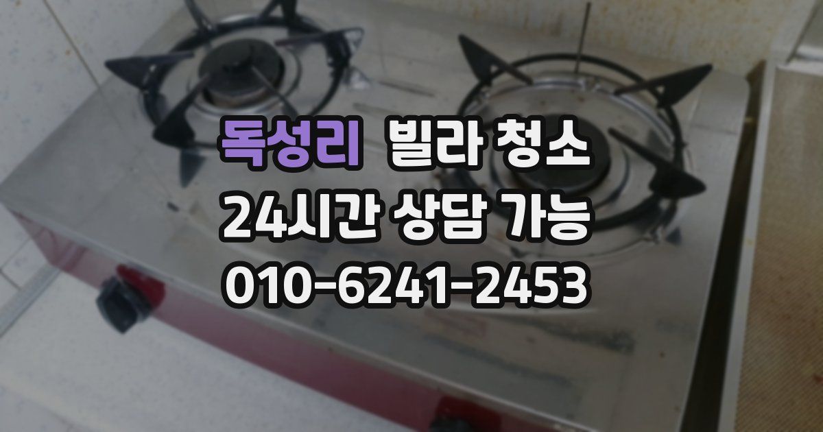 독성리 빌라 청소