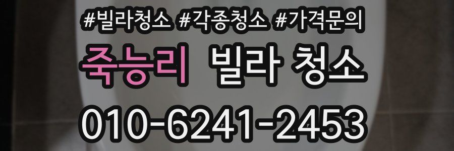죽능리 빌라 청소