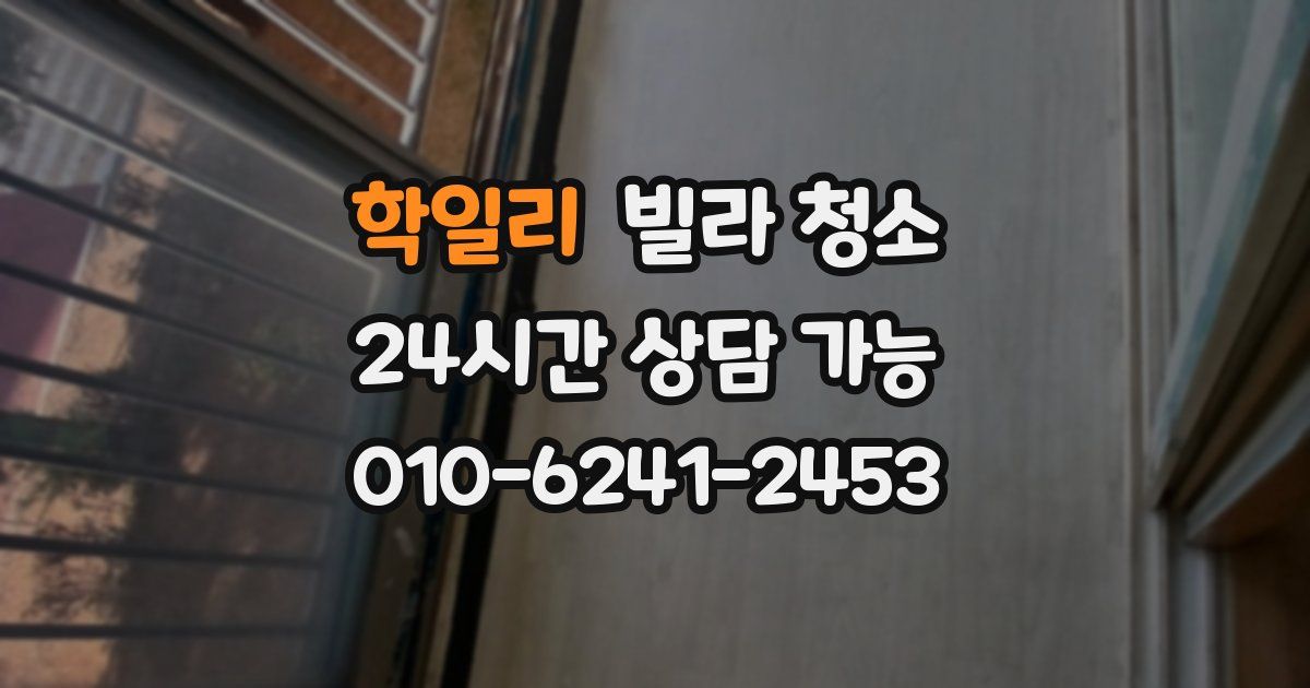 학일리 빌라 청소