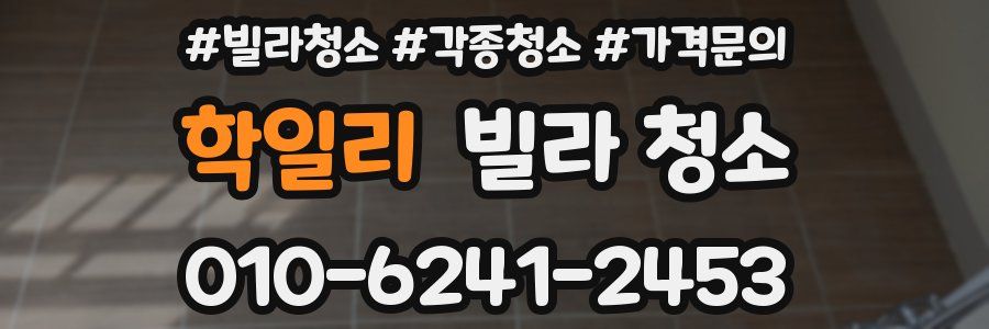 학일리 빌라 청소