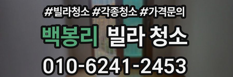 백봉리 빌라 청소