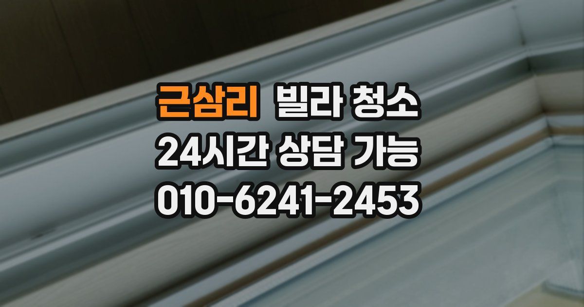 근삼리 빌라 청소