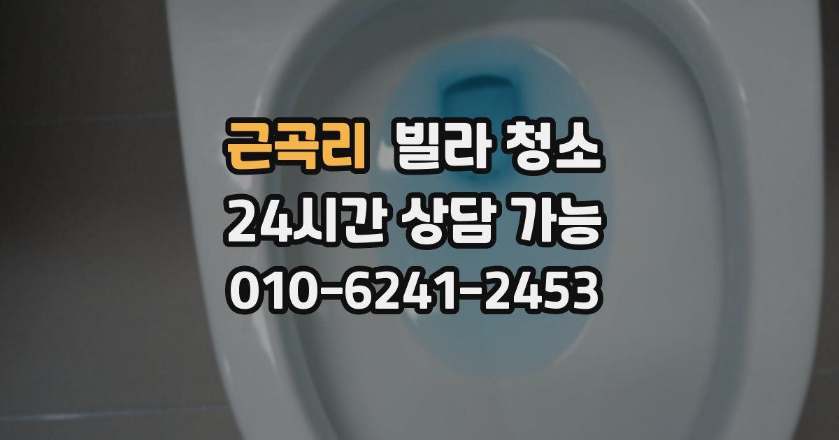 근곡리 빌라 청소