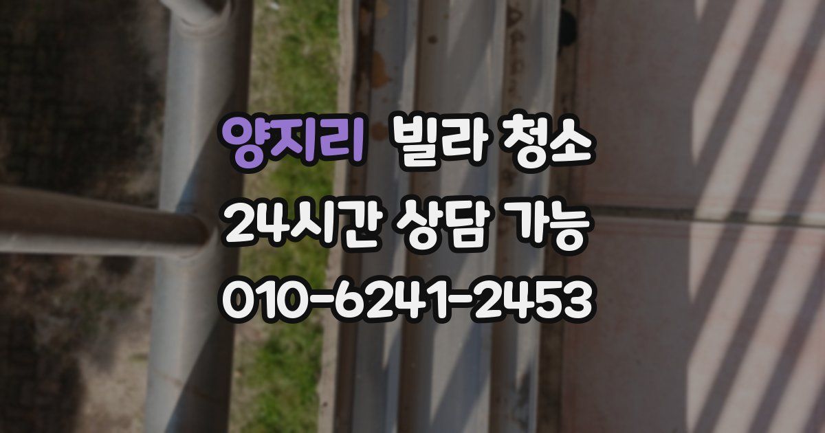 양지리 빌라 청소