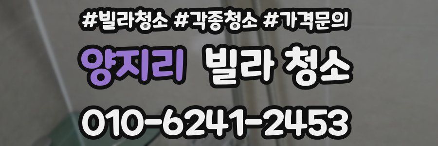 양지리 빌라 청소