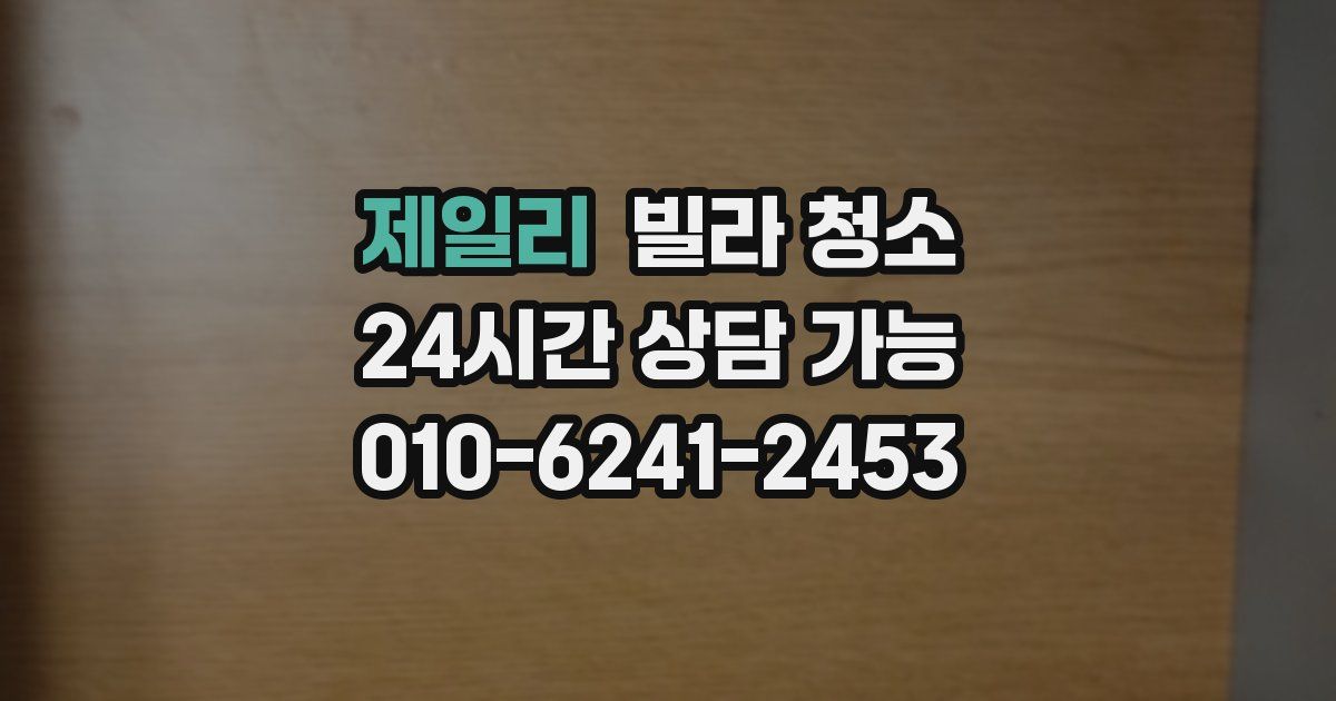 제일리 빌라 청소