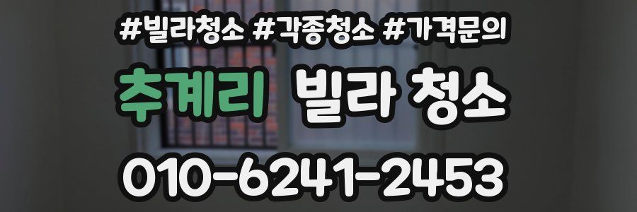 추계리 빌라 청소