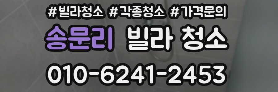 송문리 빌라 청소