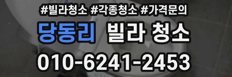 당동리 빌라 청소