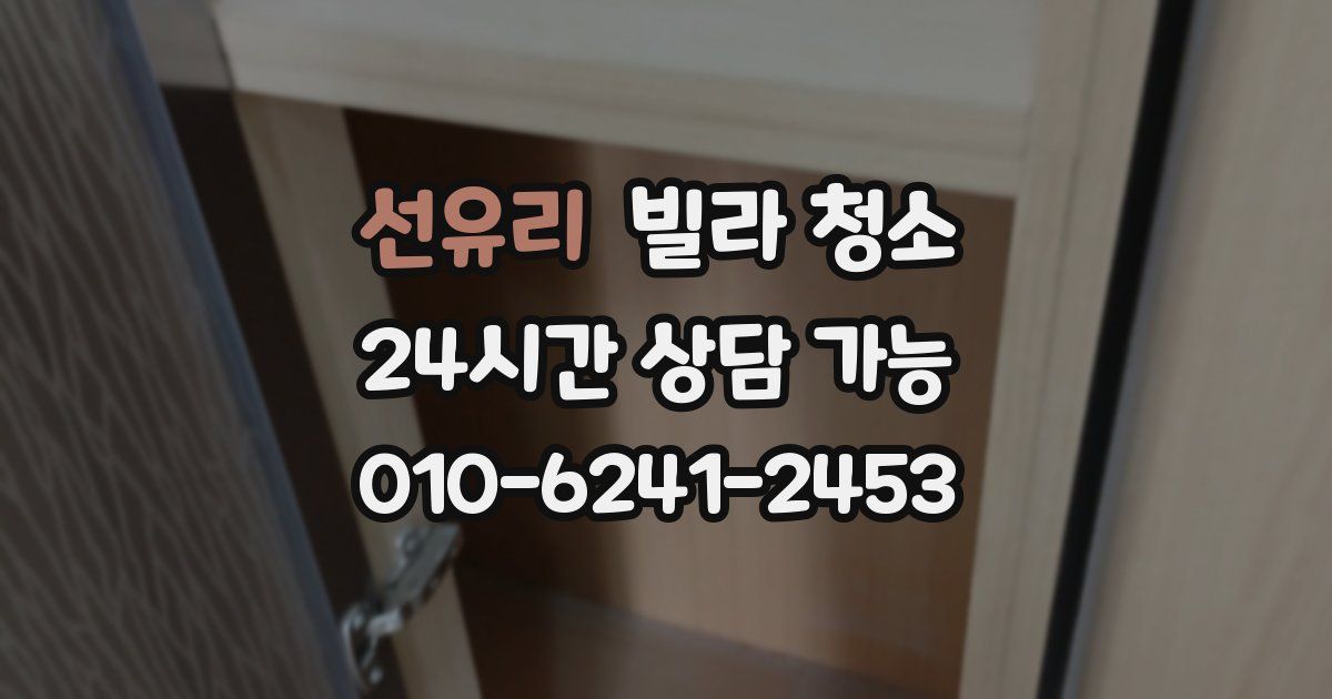 선유리 빌라 청소