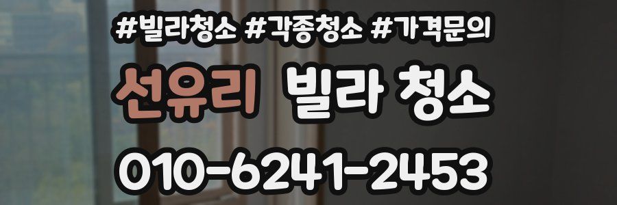 선유리 빌라 청소
