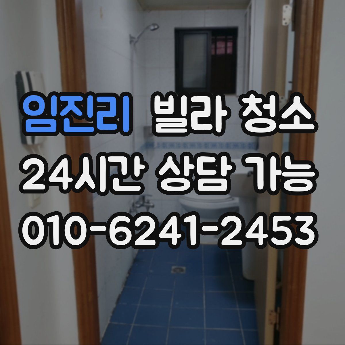 임진리 빌라 청소