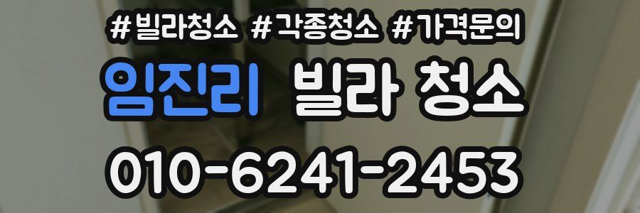 임진리 빌라 청소