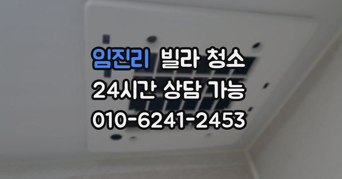 임진리 빌라 청소