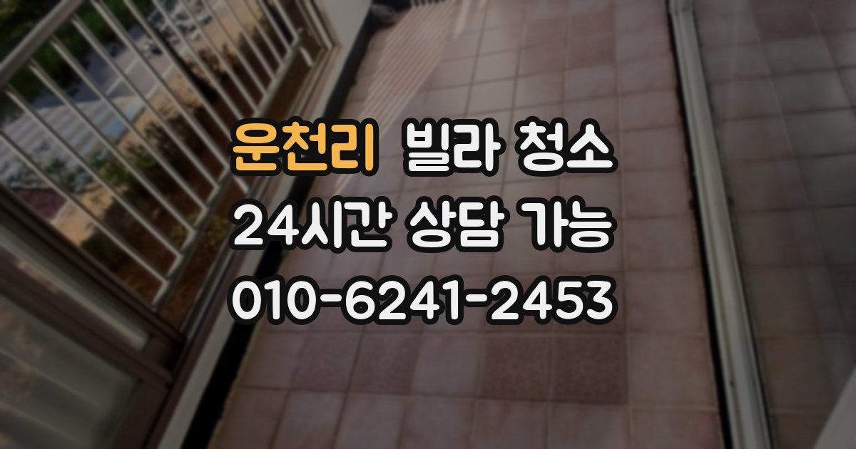운천리 빌라 청소