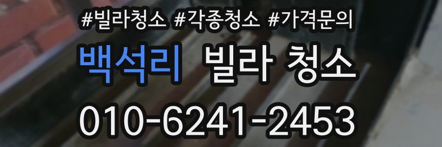 백석리 빌라 청소