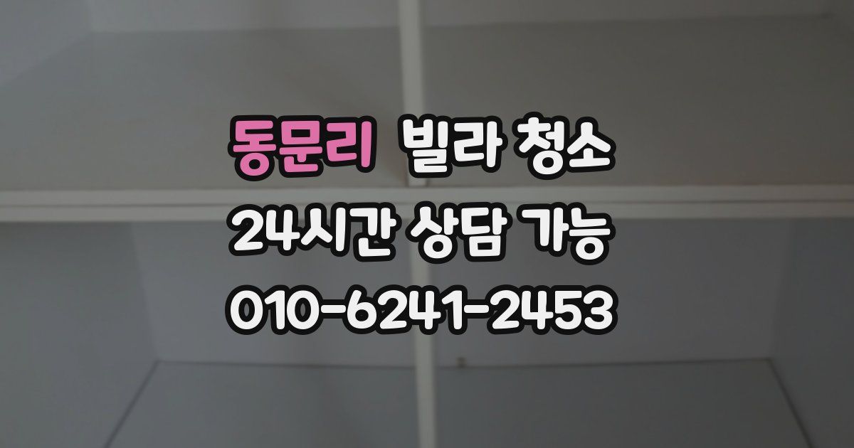 동문리 빌라 청소