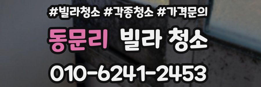 동문리 빌라 청소
