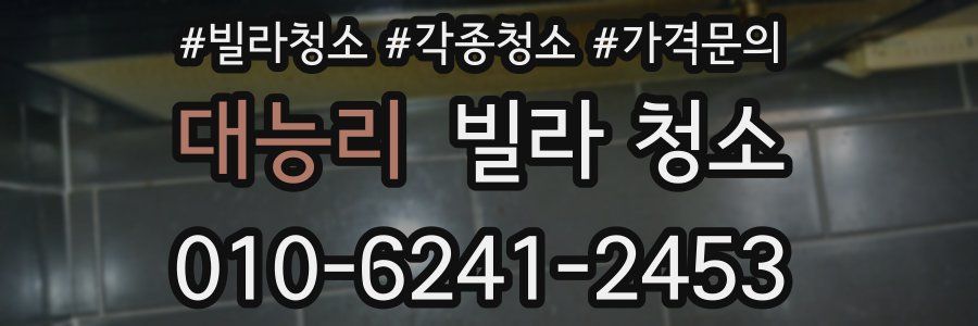 대능리 빌라 청소