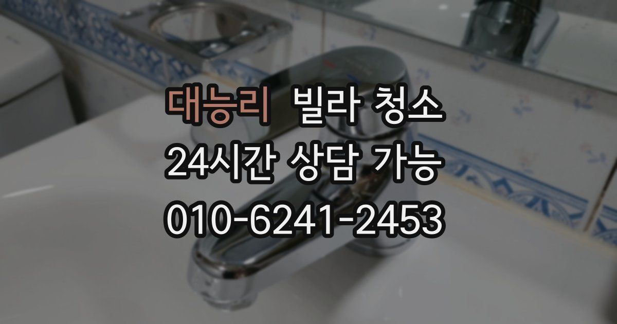 대능리 빌라 청소