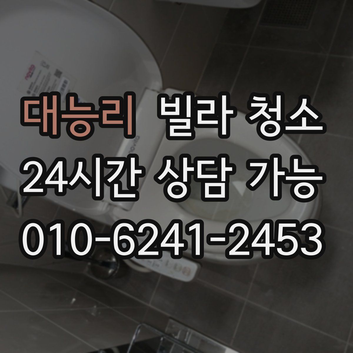 대능리 빌라 청소