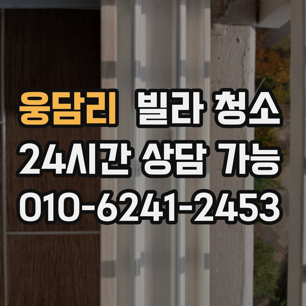 웅담리 빌라 청소