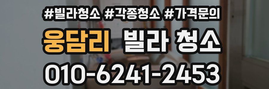 웅담리 빌라 청소