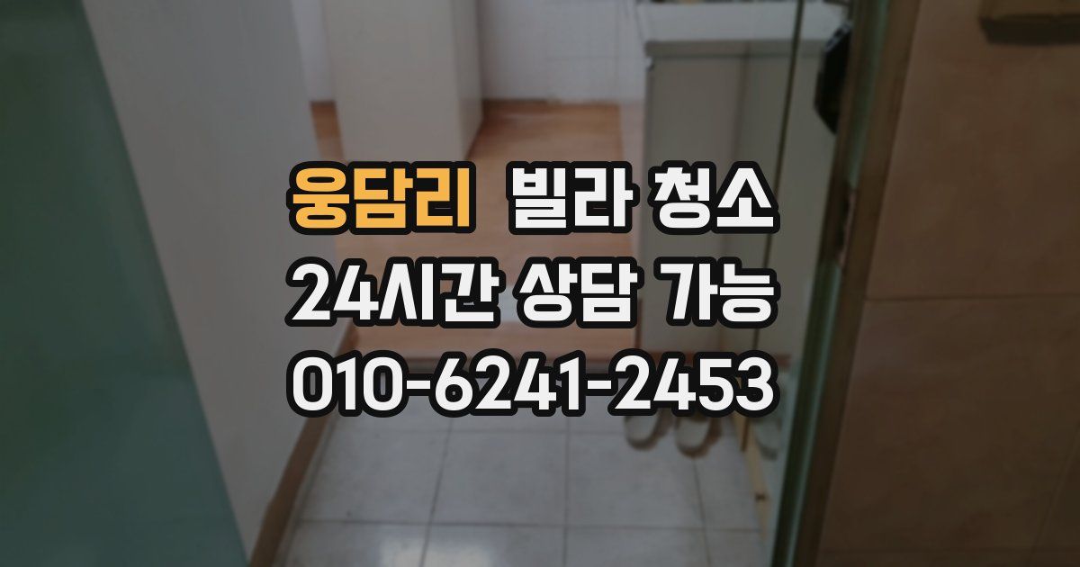 웅담리 빌라 청소