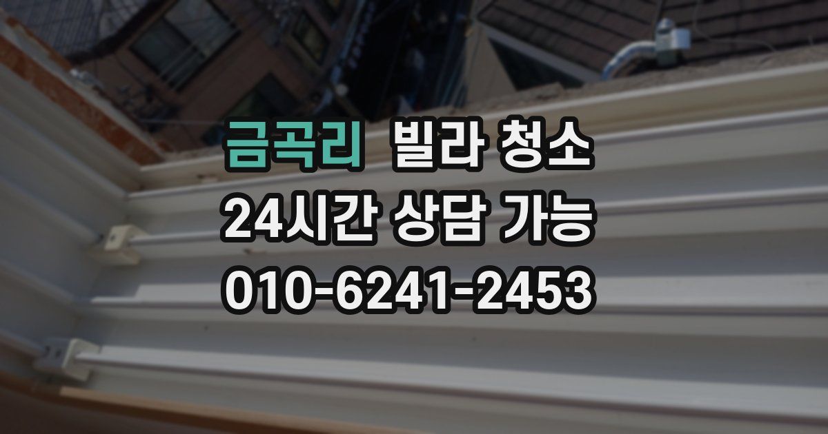 금곡리 빌라 청소