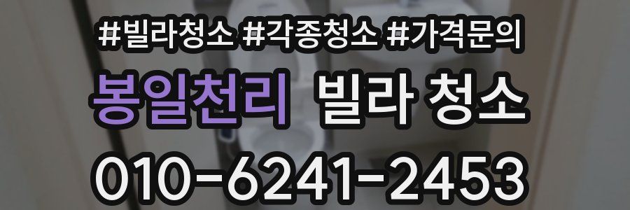 봉일천리 빌라 청소