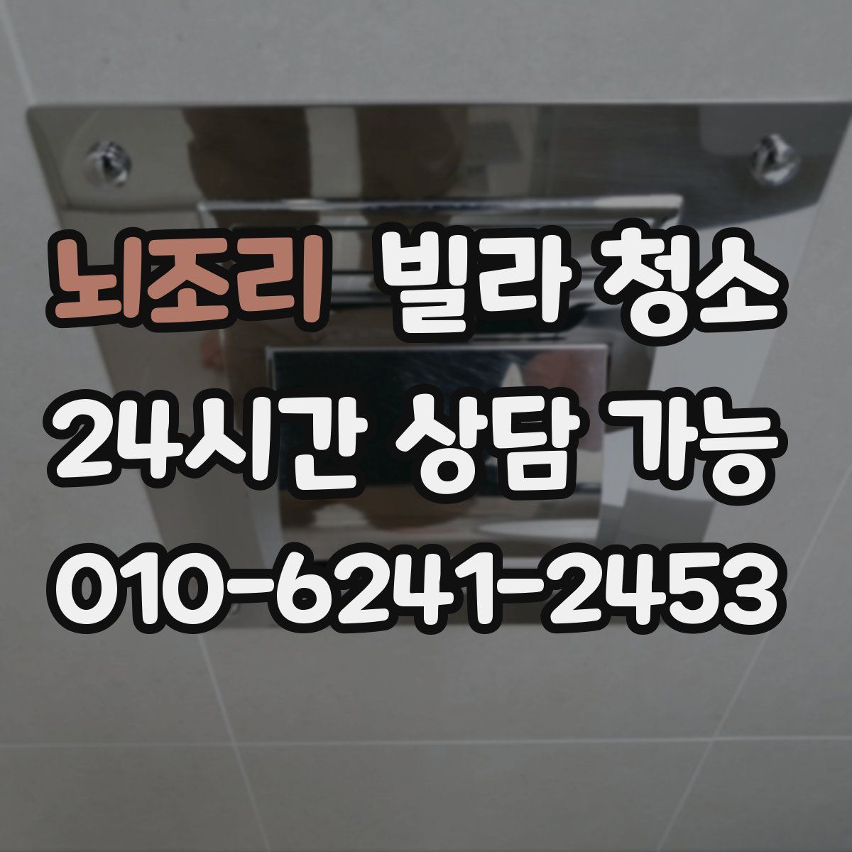 뇌조리 빌라 청소