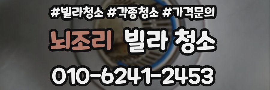 뇌조리 빌라 청소