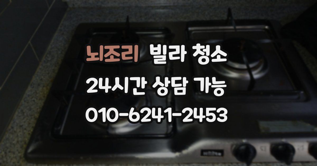 뇌조리 빌라 청소