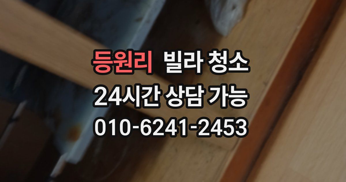 등원리 빌라 청소