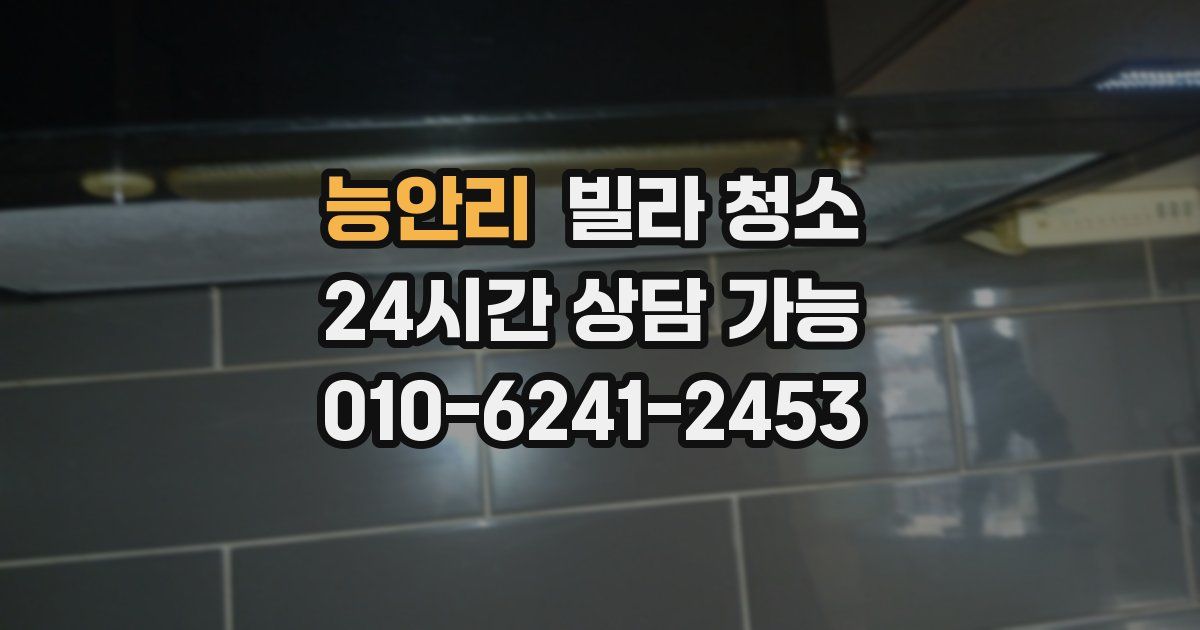 능안리 빌라 청소